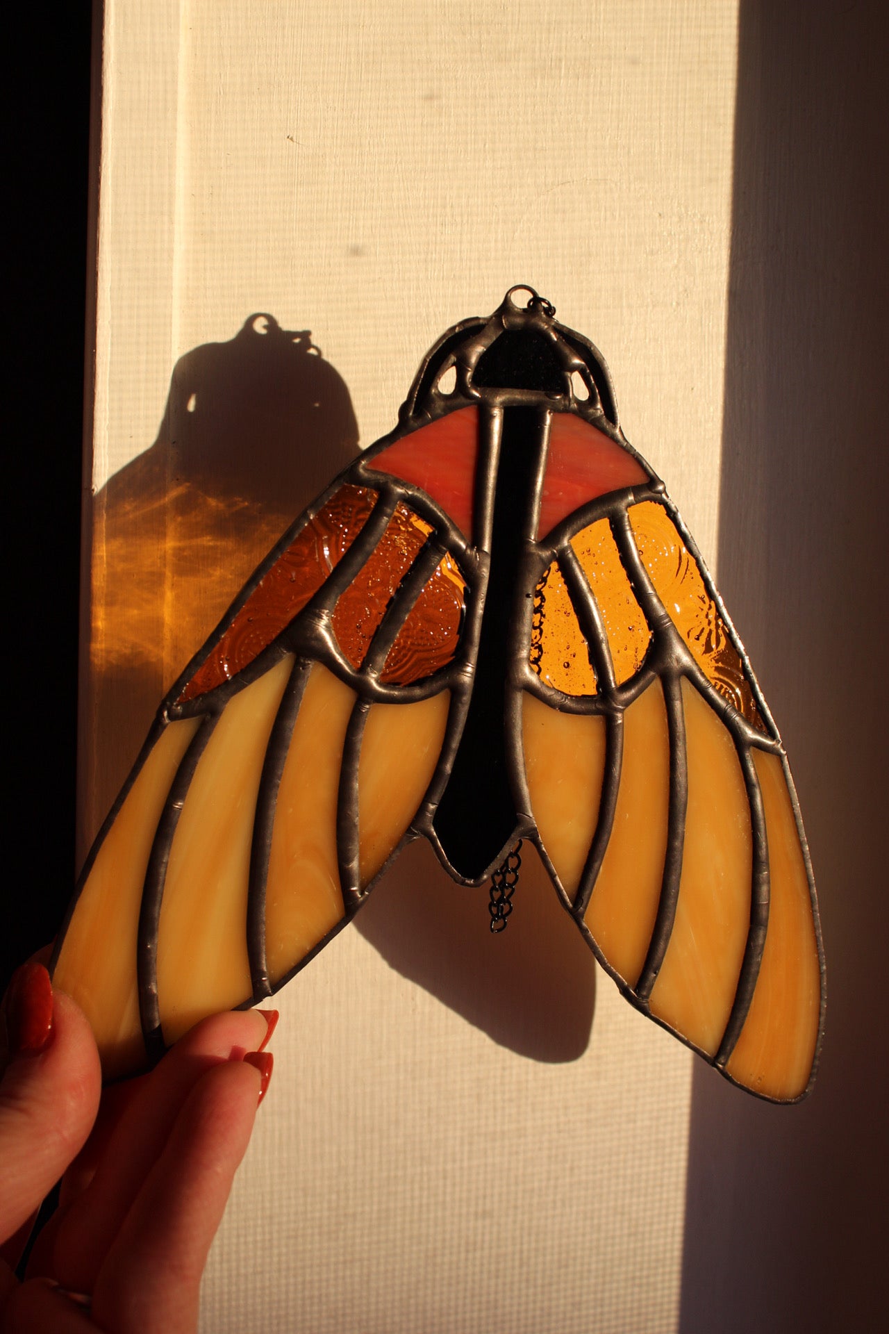 Moth sun catcher