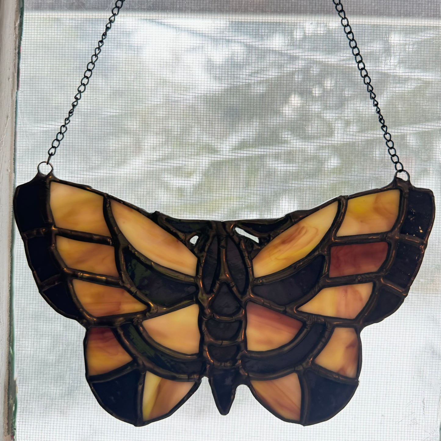 Moth sun catcher