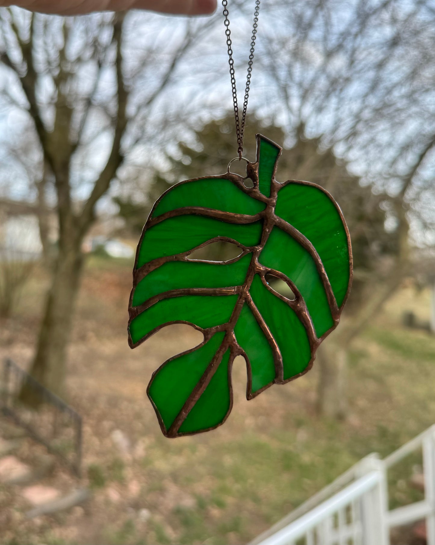 Monstera Leaf Sun Catcher