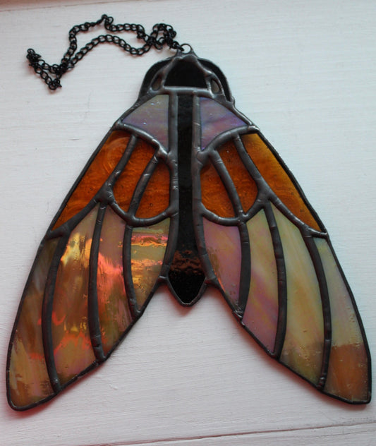 Moth sun catcher